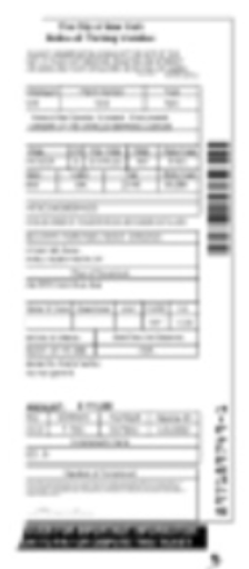 blurred nyc parking ticket details in pdf format